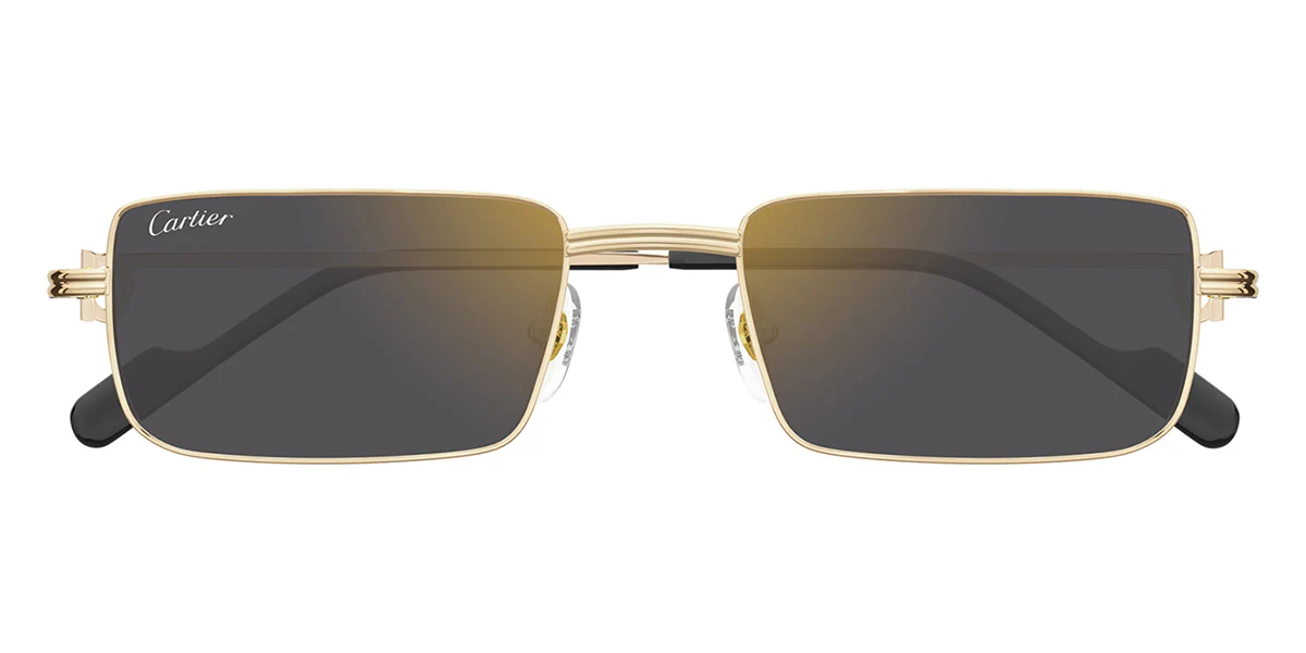 Cartier CT0501S 005 - Image 2