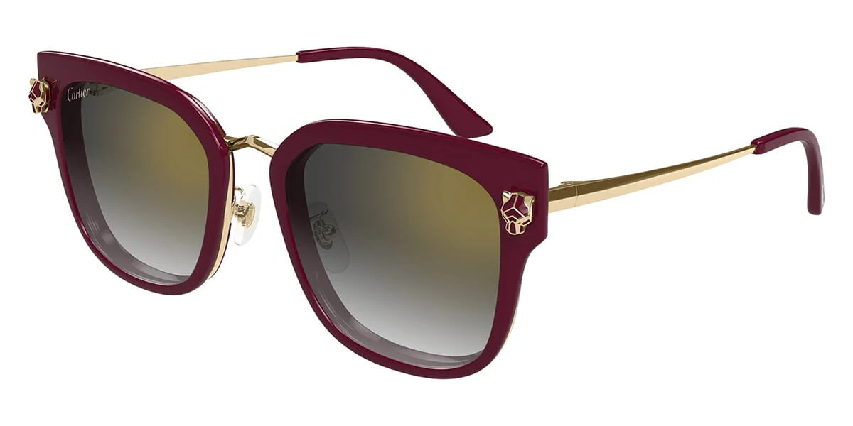 Cartier CT0509SA 003