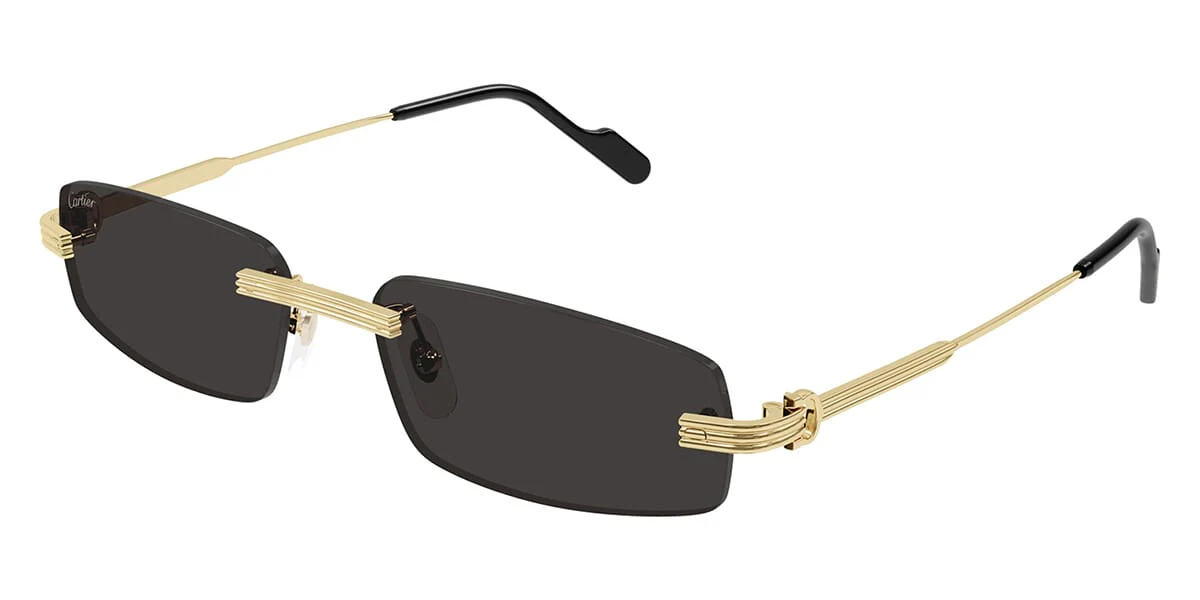 Cartier CT0535S 001 - As Seen On Bambi Northwood-Blyth