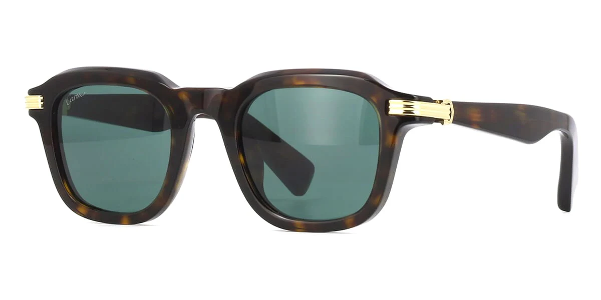Cartier CT0536S 002