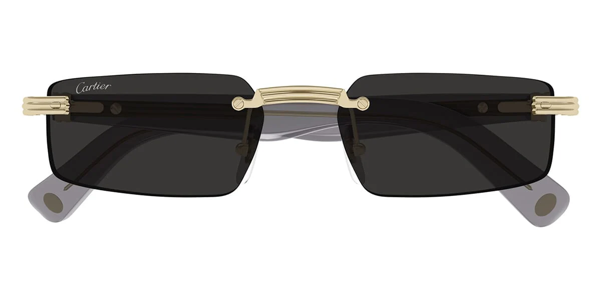Cartier CT0537S 001 - Image 2