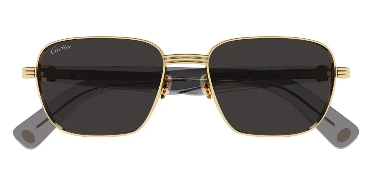 Cartier CT0538S 001 - Image 2