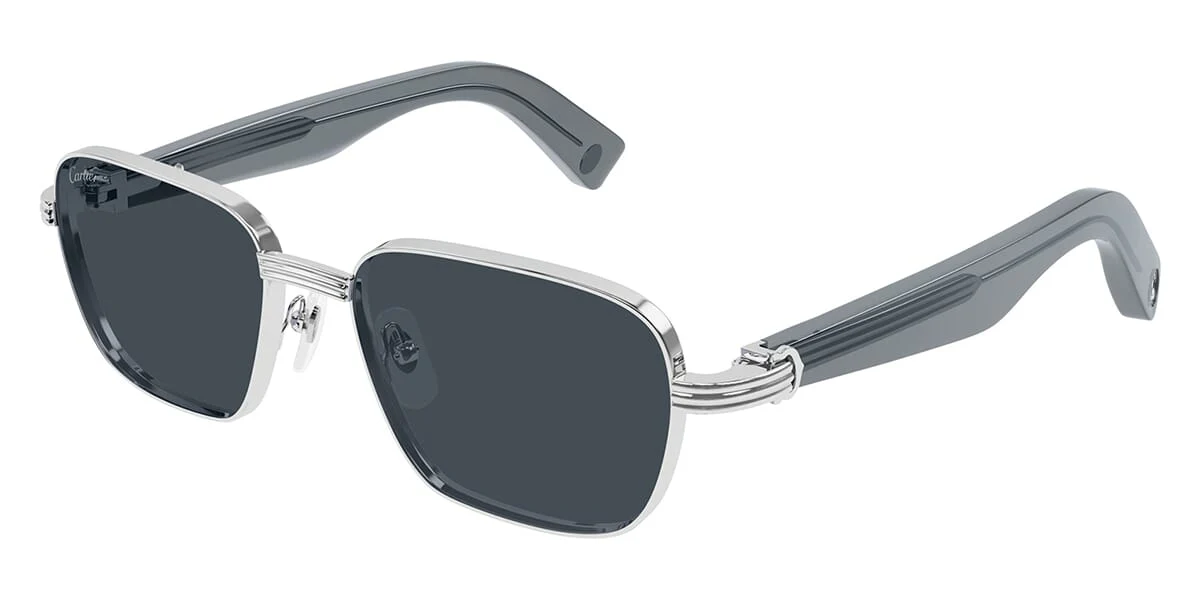 Cartier CT0538S 008