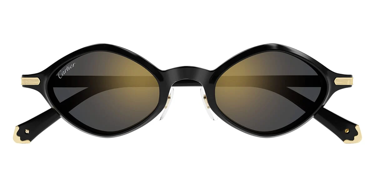 Cartier CT0540S 001 - As Seen On Kelvin Harrison Jr. & Guy Remmers - Image 2