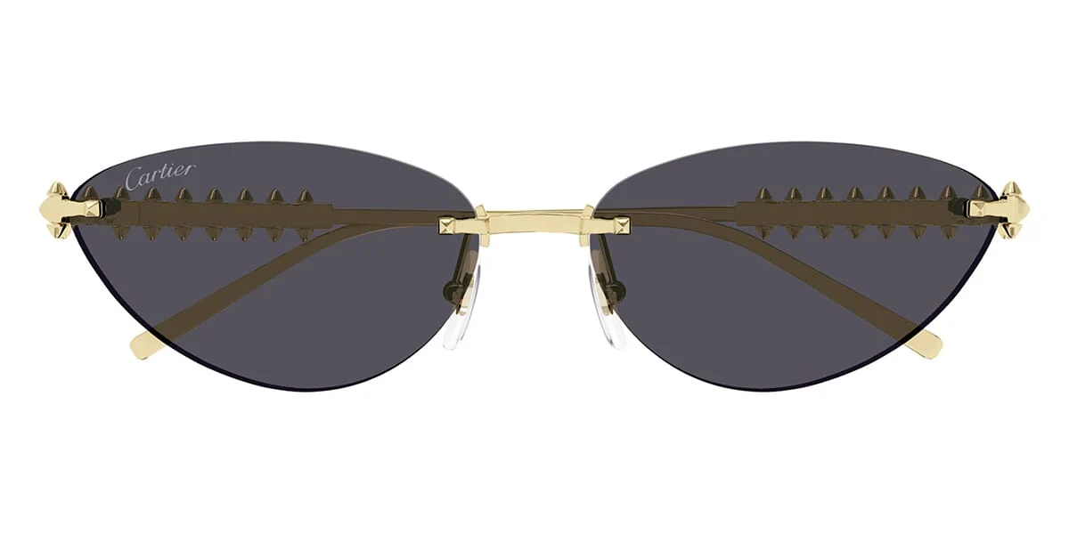 Cartier CT0543S 002 - As Seen On Virginia Varinelli - Image 2