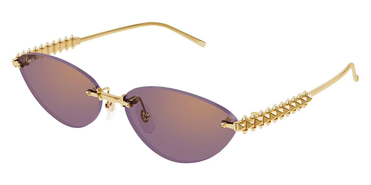 Cartier CT0543S 004