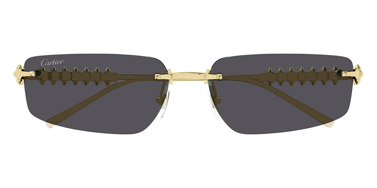 Cartier CT0544S 002 - As Seen On Daniella Rahme - Image 2