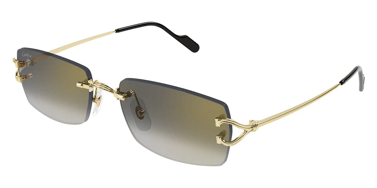 Cartier CT0550S 001
