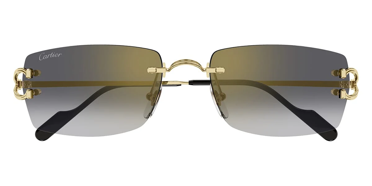 Cartier CT0550S 001 - Image 2