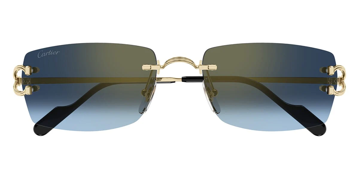 Cartier CT0550S 002 - Image 2