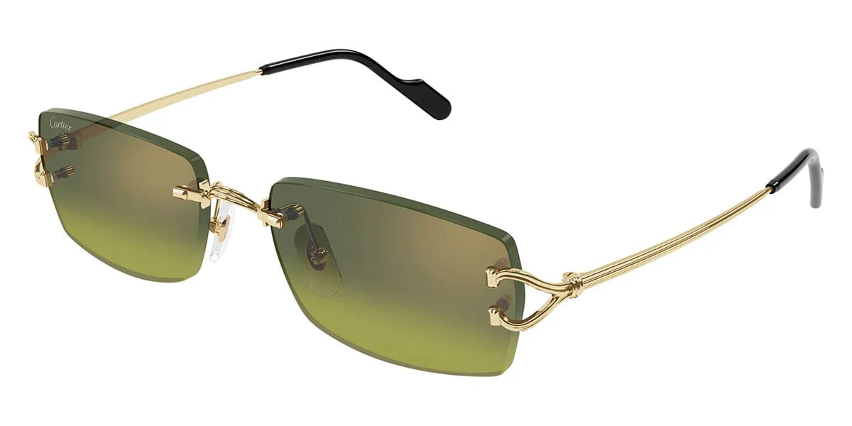 Cartier CT0550S 006