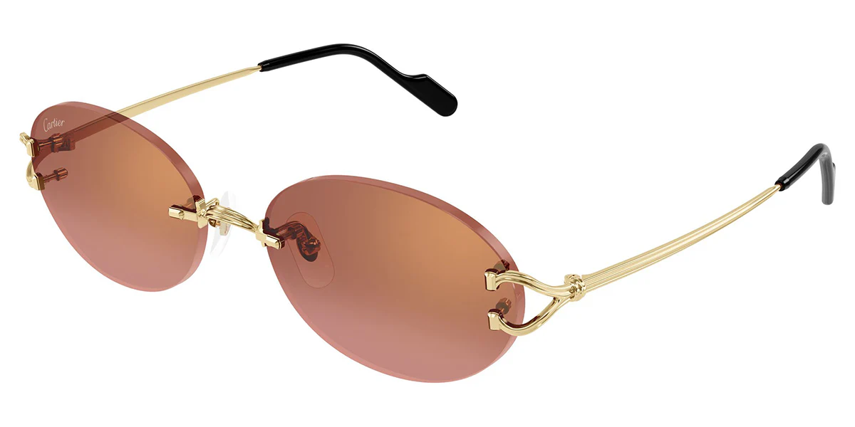 Cartier CT0551S 005