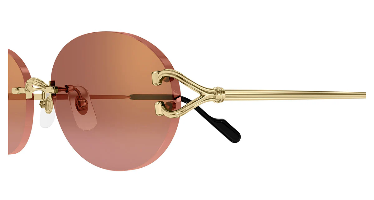 Cartier CT0551S 005 - Image 3