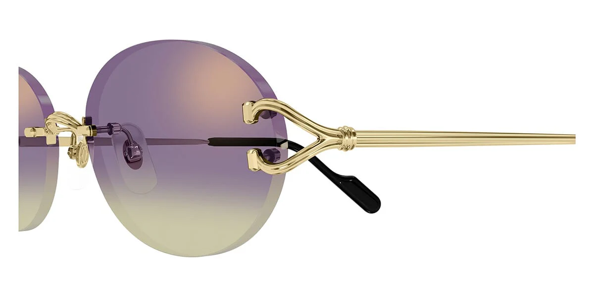 Cartier CT0551S 006 - Image 3