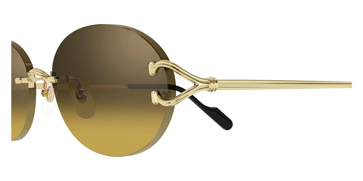 Cartier CT0551S 009 - Image 3