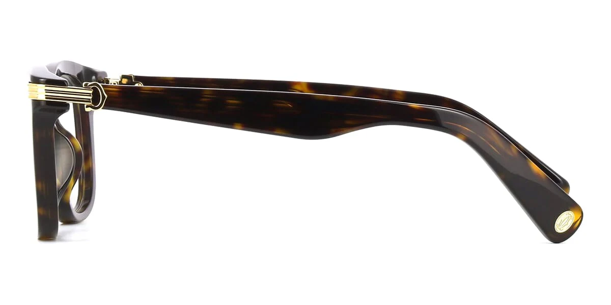 Cartier CT0558O 007 - Image 3
