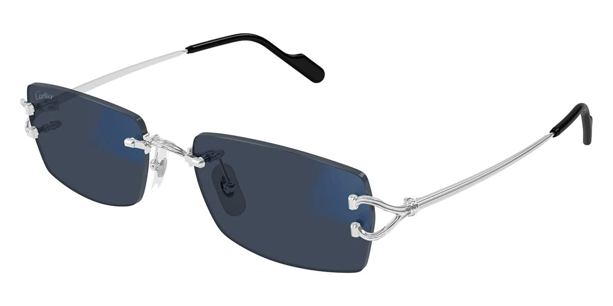 Cartier CT0563S 001 Blue & Beyond - As Seen On Conor Benn - Image 2