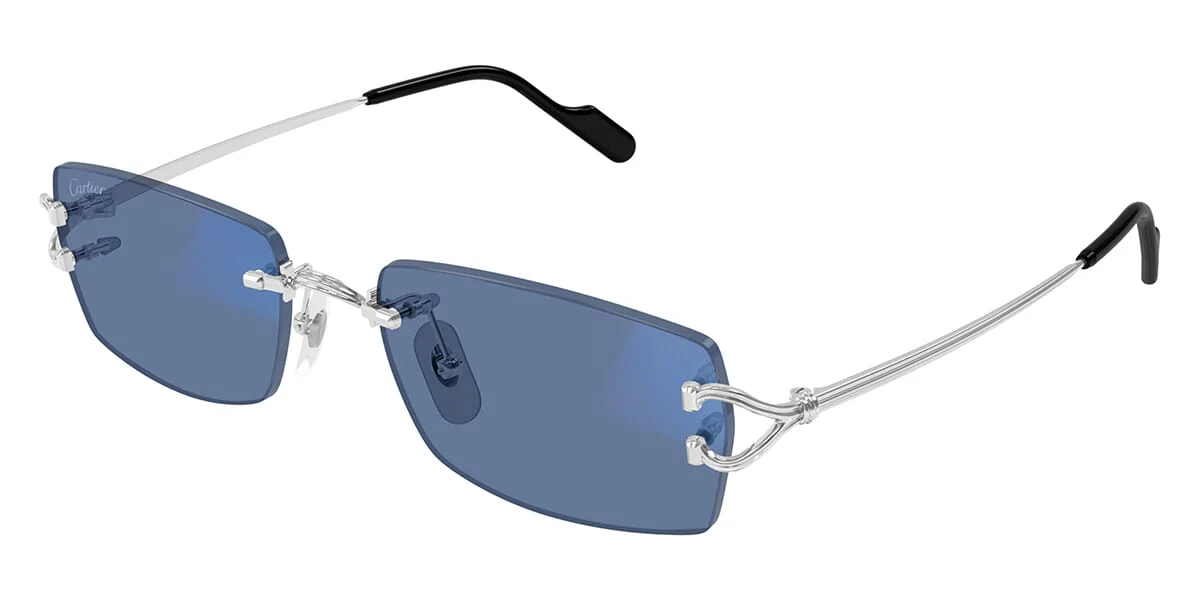Cartier CT0563S 001 Blue & Beyond - As Seen On Conor Benn - Image 3