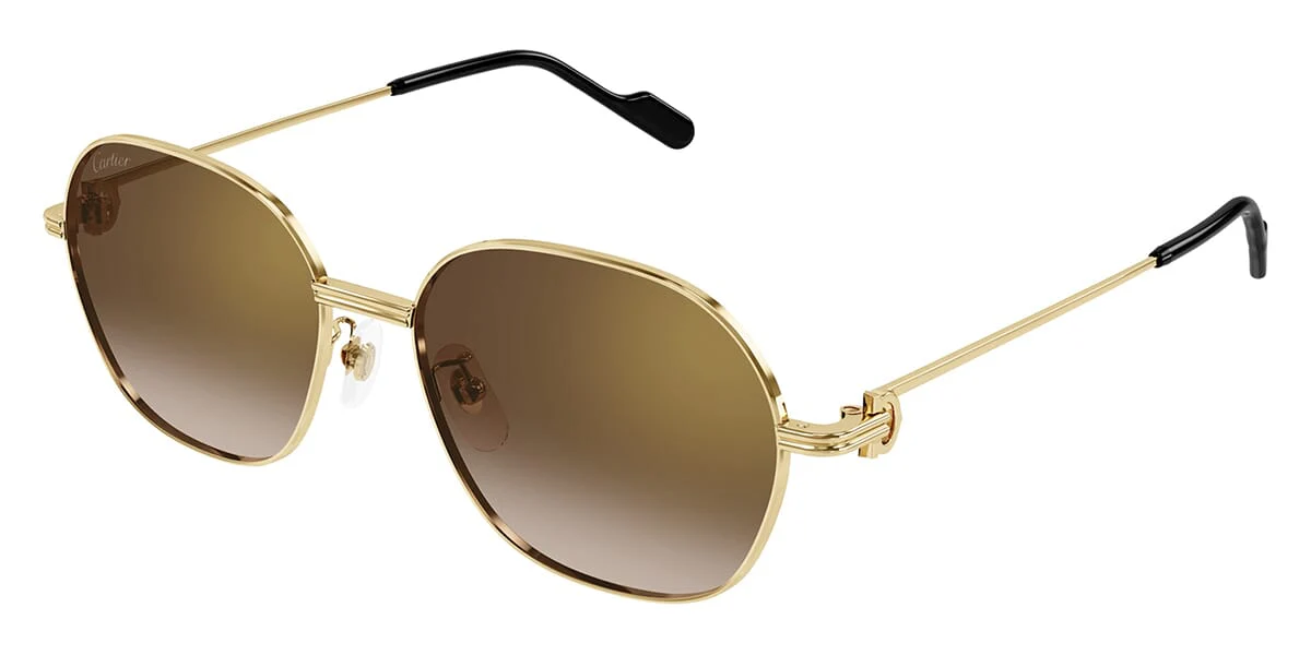 Cartier CT0569SA 002