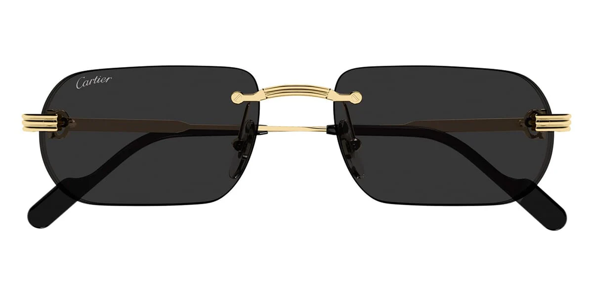 Cartier CT0577S 001 - Image 2