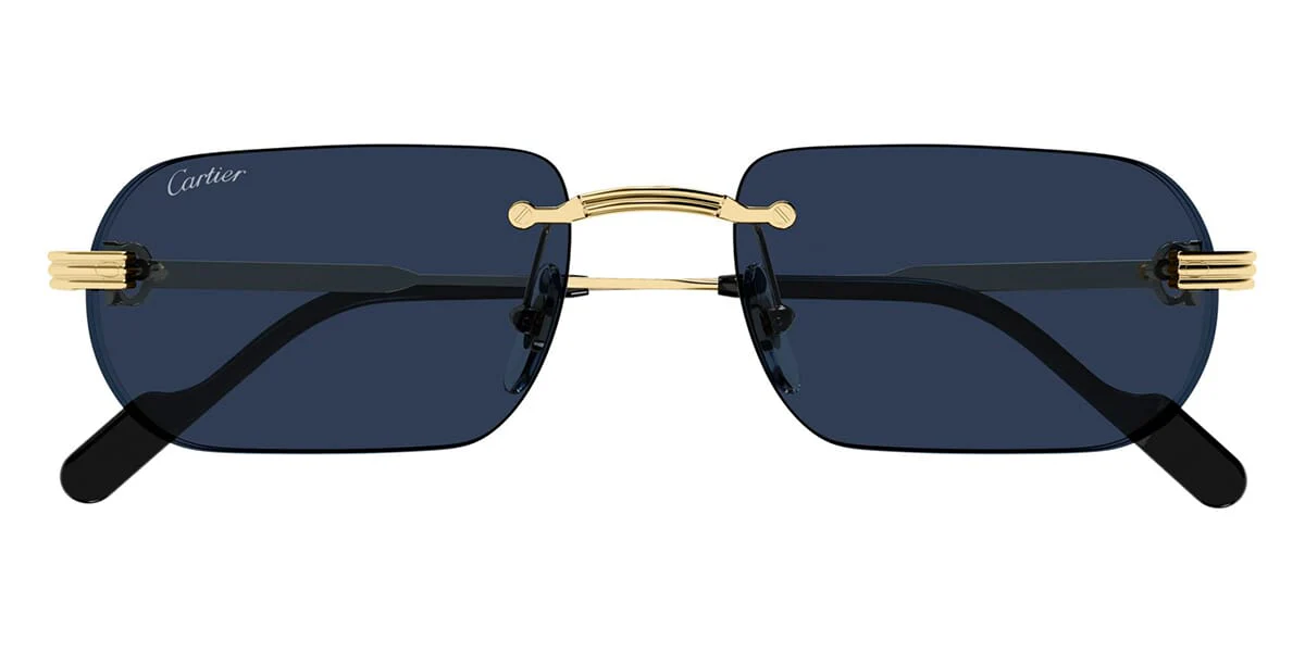 Cartier CT0577S 003 - Image 2