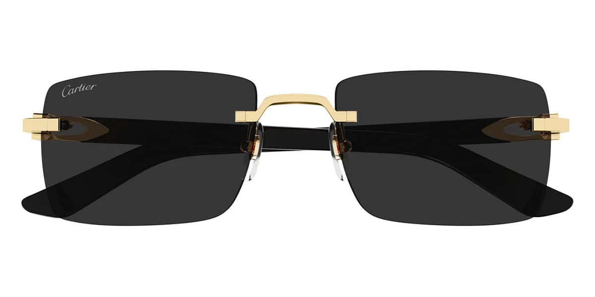 Cartier CT0579S 001 - As Seen On Wu Chun & Guè Pequeno - Image 2