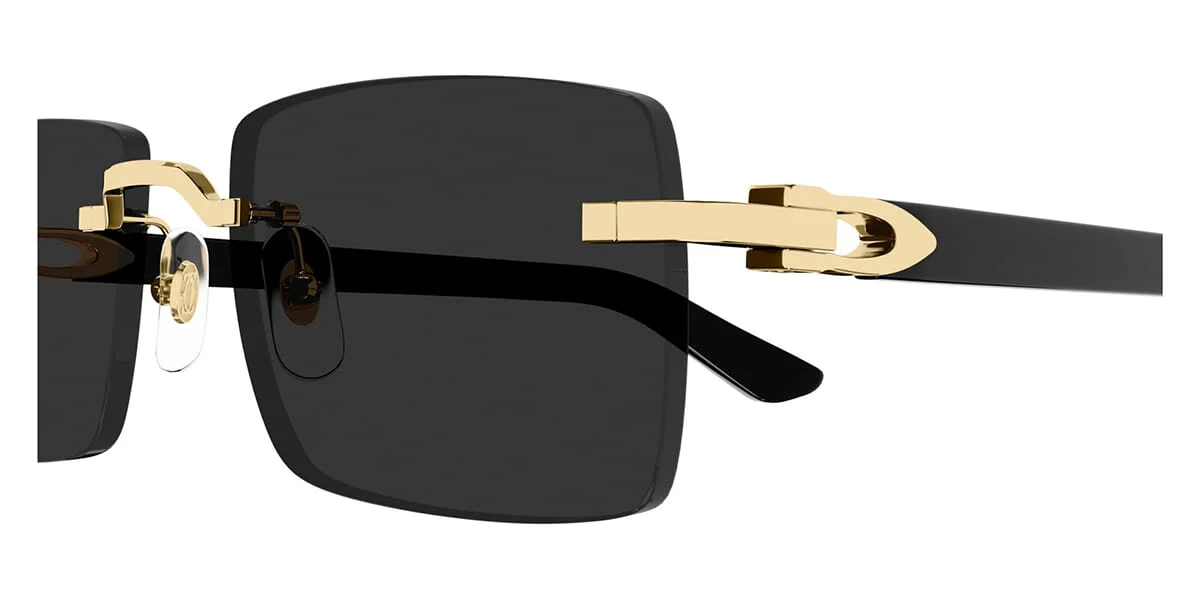 Cartier CT0579S 001 - As Seen On Wu Chun & Guè Pequeno - Image 3