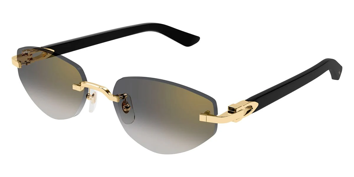 Cartier CT0580S 001