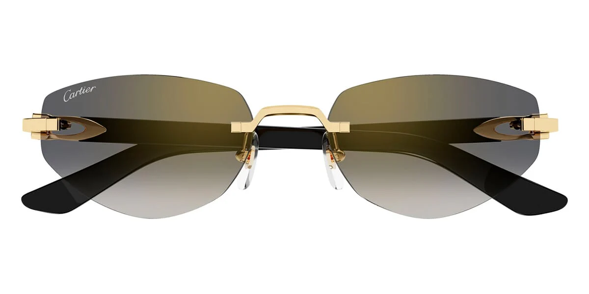 Cartier CT0580S 001 - Image 2