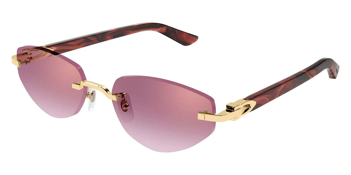 Cartier CT0580S 002