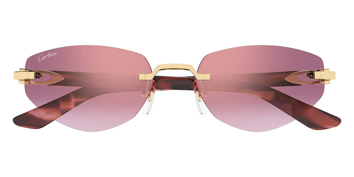 Cartier CT0580S 002 - Image 2
