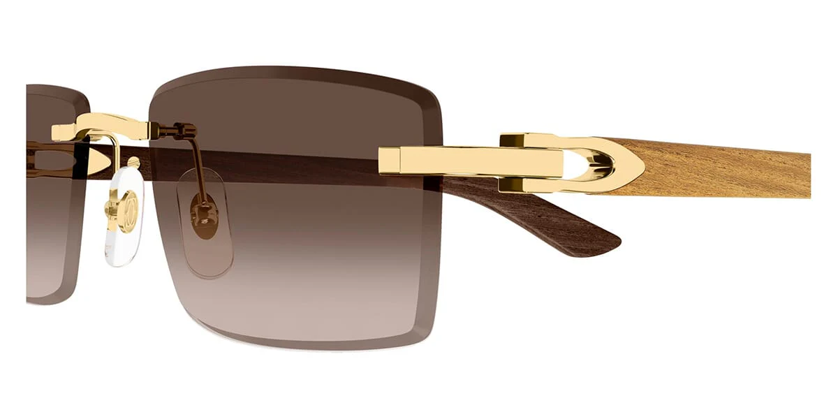 Cartier CT0582S 003 - Image 3