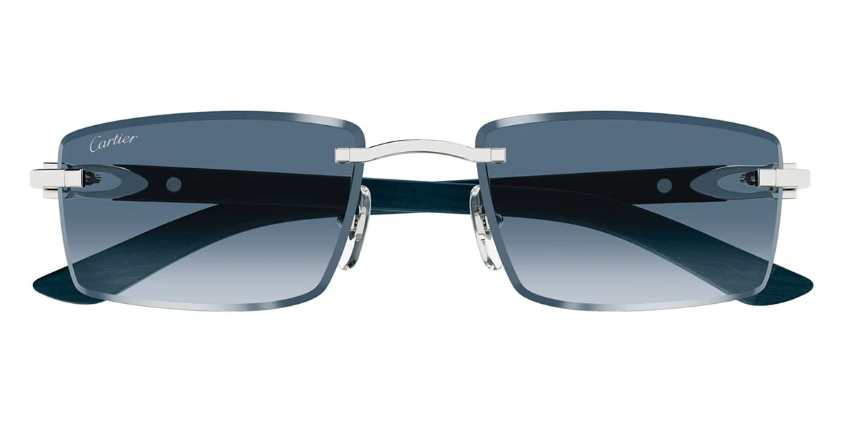 Cartier CT0582S 004 - As Seen On Zach LaVine - Image 2