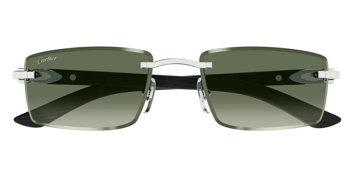 Cartier CT0582S 005 - Image 2