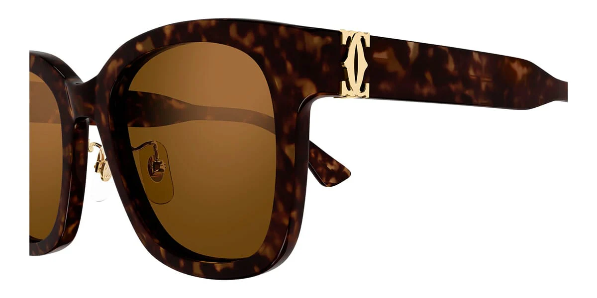 Cartier CT0589SA 002 - Image 3