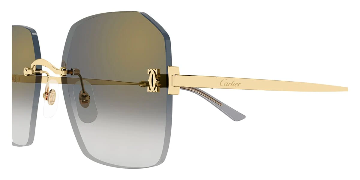 Cartier CT0591S 001 - Image 3