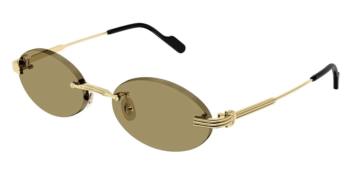 Cartier CT0615S 007
