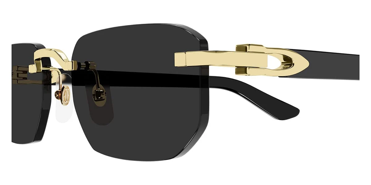 Cartier CT0622S 001 - Image 3