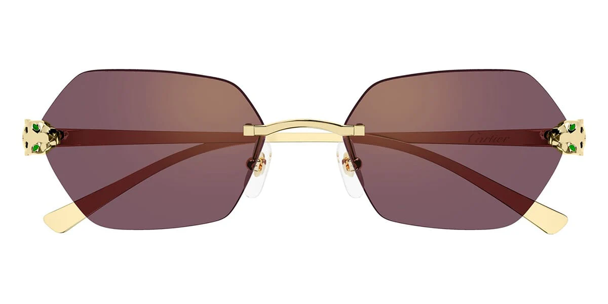 Cartier CT0636S 003 - Image 2
