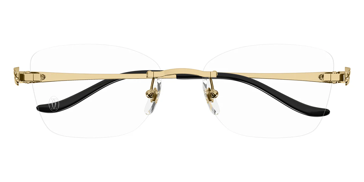 Cartier Panthere CT0522O 001 - Image 2