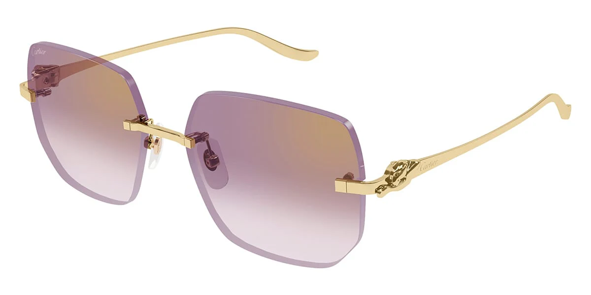 Cartier Panthere CT0549S 004 - As Seen On Busta Rhymes
