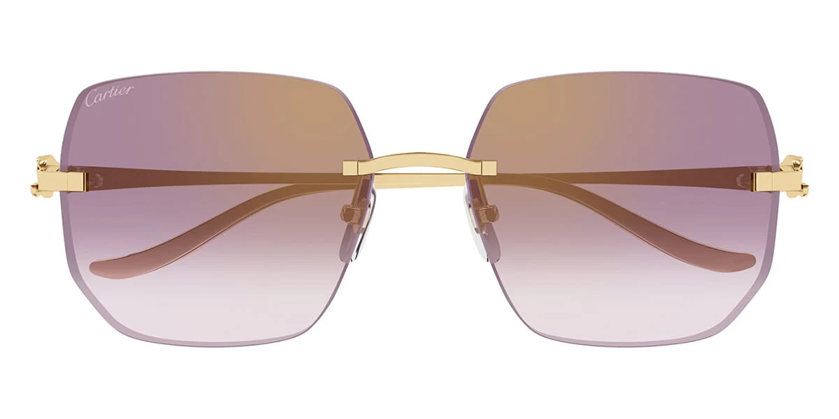 Cartier Panthere CT0549S 004 - As Seen On Busta Rhymes - Image 2