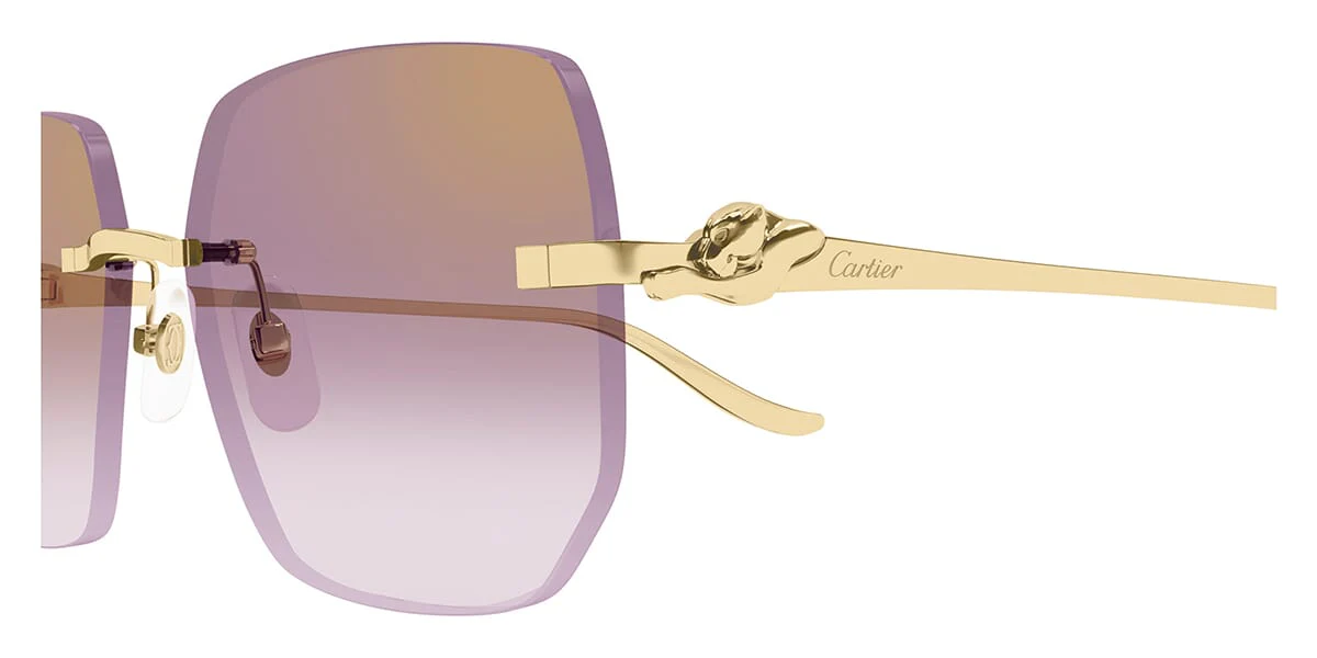 Cartier Panthere CT0549S 004 - As Seen On Busta Rhymes - Image 3