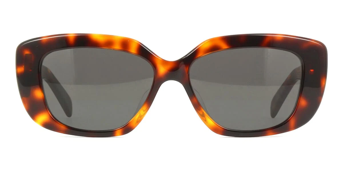 Celine Triomphe CL40216U 53A - Image 2
