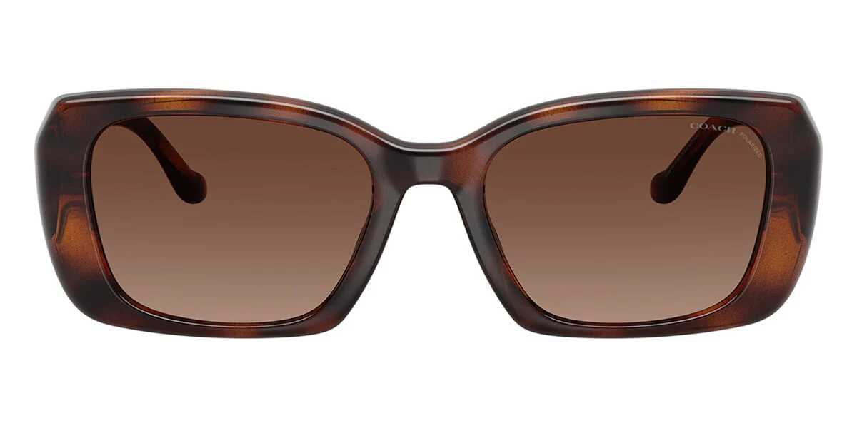 Coach CBY82 HC8435U 5120/T5 Polarised - Image 2