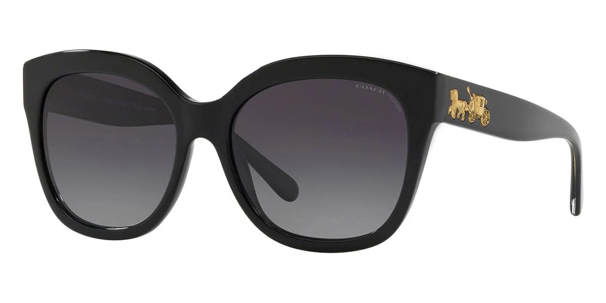 Coach L1083 HC8264 5002/T3 Polarised