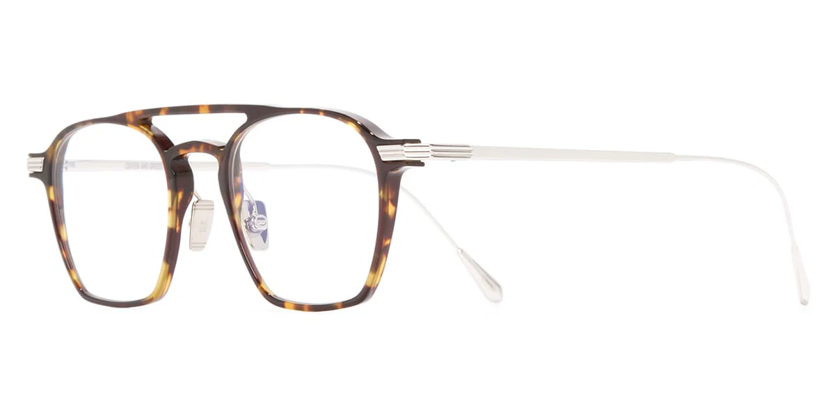 Cutler and Gross 0009 02