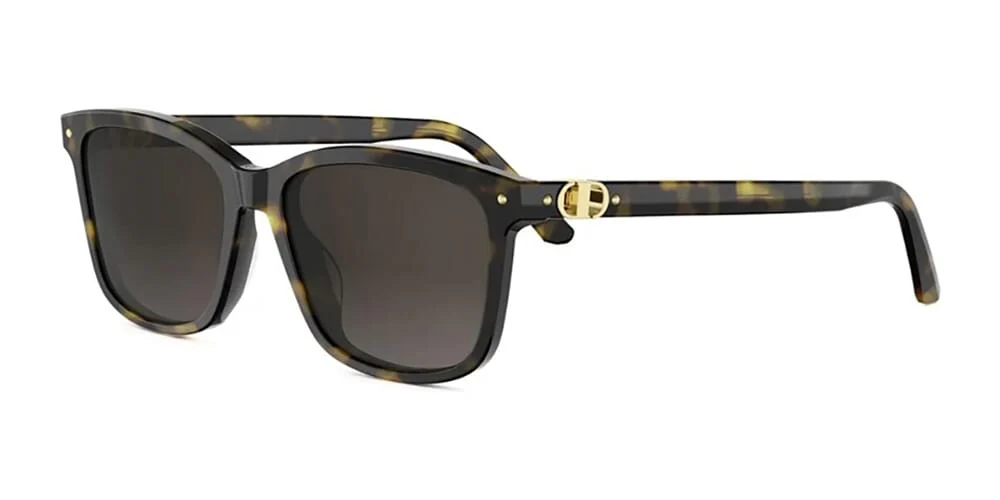 Dior Petit CD S2I 20F1