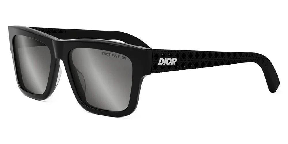 Dior3D S2I 10A4