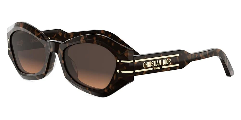 DiorSignature B1U 24F1